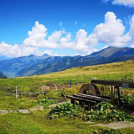 Eva Maria 5 By Smr - Close To And Gondola * Rauris